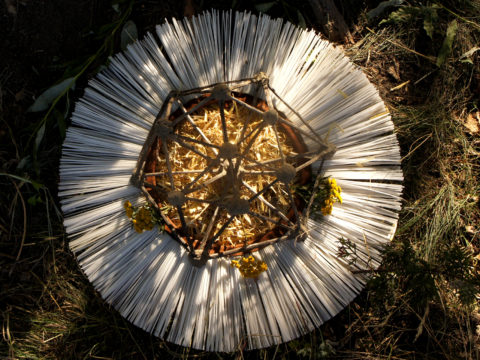 KUNSTCAMP BLAUE BLUME